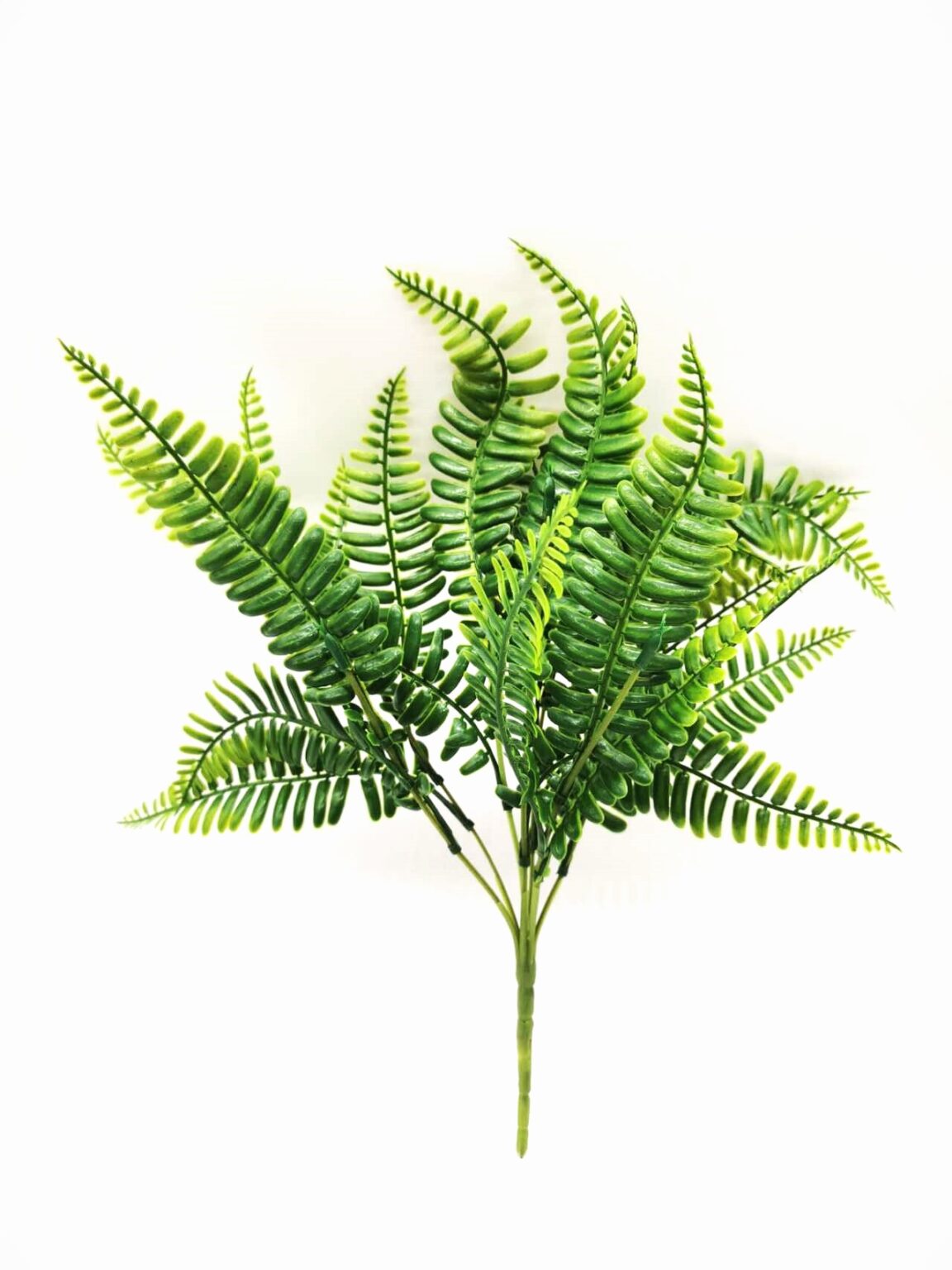 Plastic Fern Leaf (more Than 24 Pcs = £0.55 Each) – Wholesale 