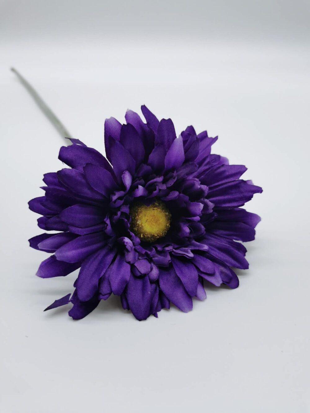 Single Stem Gerbera Purple (More Than 24 = Only 50P Each Before VAT ...