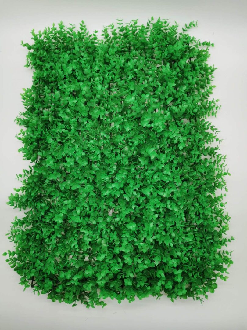 Flower / Green Wall