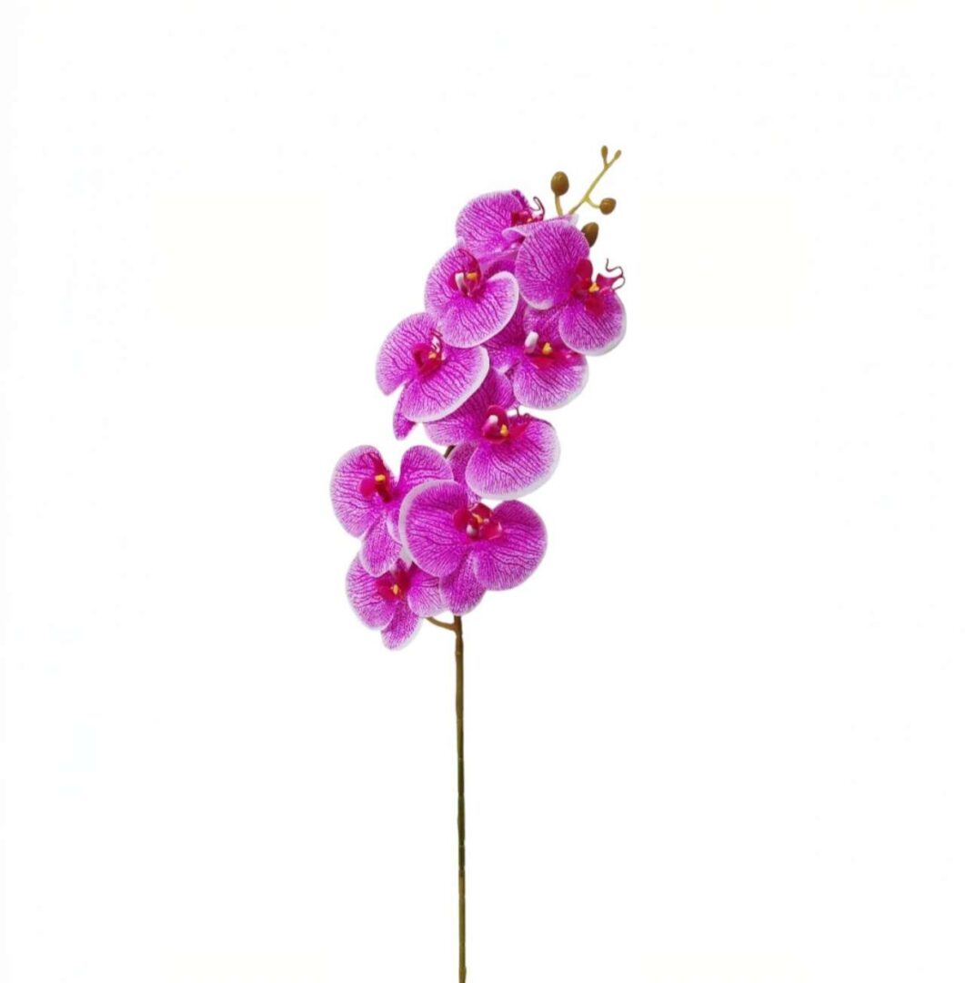 Flower Sprays