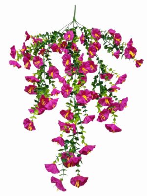 75cm Morning Glory Trailing Bush Magenta (More than 24pcs = £1 each)
