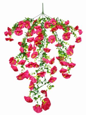 75cm Morning Glory Trailing Bush Hot Pink (More than 24pcs = £1 each)