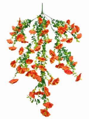 75cm Morning Glory Trailing Bush Orange (More than 24pcs = £1 each)