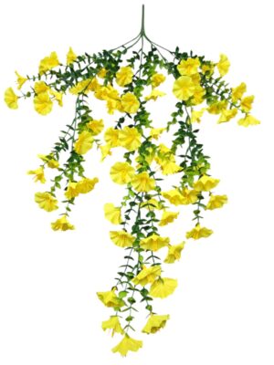 75cm Morning Glory Trailing Bush Yellow (More than 24pcs = £1 each)