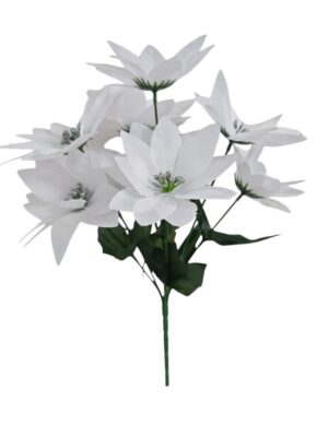 Poinsettia Bush White (24 Bunches / pack) 24 x 75p or 144 x 65p