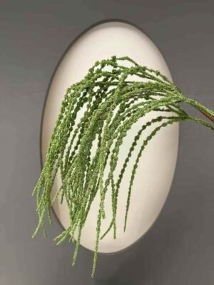 96cm Amaranthus Flower Trailing Green (More than 24pcs=£1.25 each)