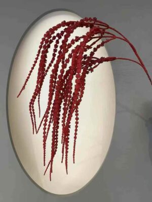 96cm Amaranthus Flower Trailing Dark Red (More than 24pcs=£1.25 each)