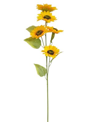 5 Heads Giant Stem Sunflower  (More Than 24 = £1.80 each)