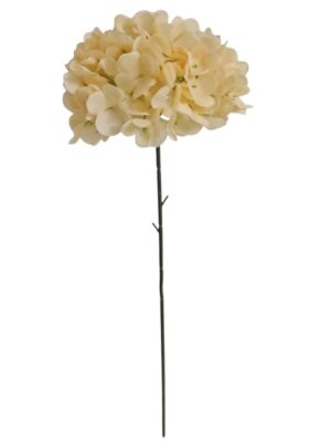 60cm Single Stem Hydrangea Light Peach (24 or more = £0.85 each Before VAT)