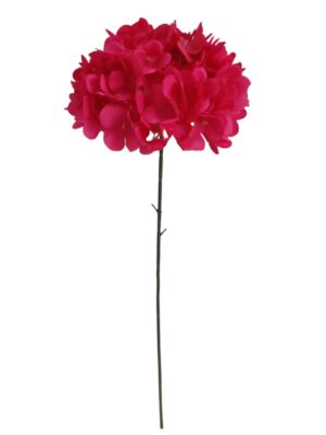 60cm Single Stem Hydrangea Hot Pink (24 or more = £0.85 each Before VAT)