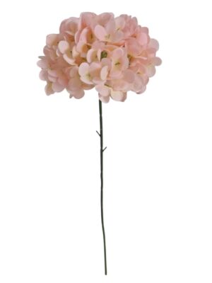 60cm Single Stem Hydrangea Light Pink (24 or more = £0.85 each Before VAT)