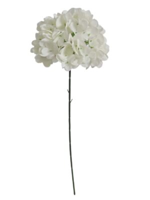60cm Single Stem Hydrangea Ivory (24 or more = £0.85 each Before VAT)