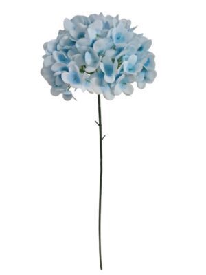 60cm Single Stem Hydrangea Light Blue (24 or more = £0.85 each Before VAT)
