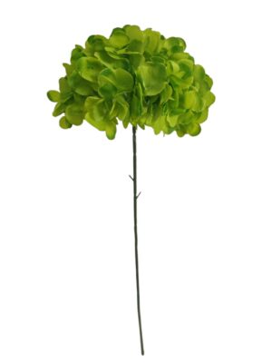 60cm Single Stem Hydrangea Lime Green (24 or more = £0.85 each Before VAT)