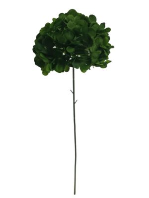 60cm Single Stem Hydrangea Dark Green (24 or more = £0.85 each Before VAT)