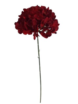 60cm Single Stem Hydrangea Dark Red (24 or more = £0.85 each Before VAT)