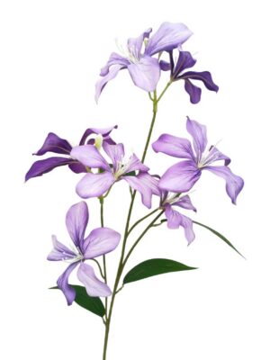 95cm Flame Orchid Spray-Lilac (More than 24pcs=85p Each)