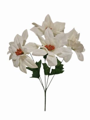 5 Heads Poinsattia Bush Ivory (24 Bunches / pack) 24 x 75p or 144 x 65p