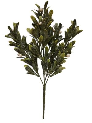 Mistletoe Bush (More Than 12 pcs = £2.60 each)