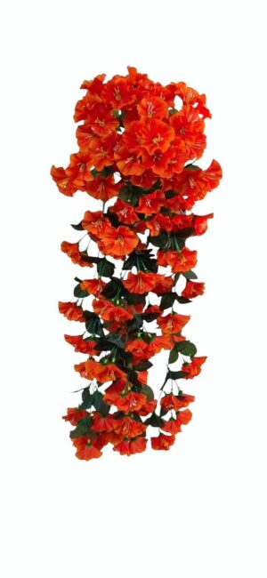 Violet Trailing Flower Orange (Order 24 or more = £1.75 each)