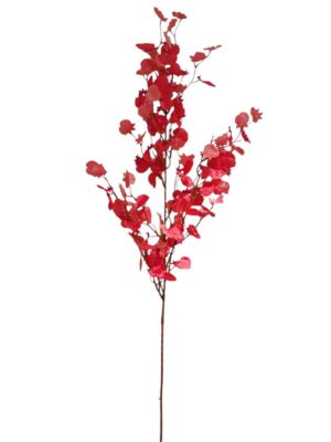 Single Stem Dancing Lady Two Tone Pink (24 or more = £1.50 each Before VAT)