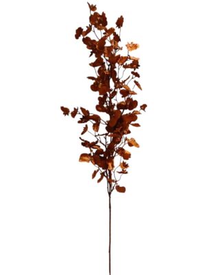 Single Stem Dancing Lady Dark Coffee (24 or more = £1.50 each Before VAT)
