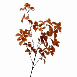 96cm Magnolia Grandiflora Leaf Orange (more than 24pcs= £1 each)
