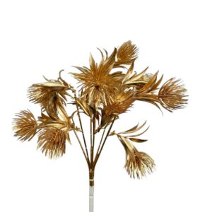 Sea Holly Bush Gold (More than 24 Pcs = £0.55 each)