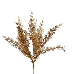 Cedar Bush Gold (More than 24 Pcs = £0.55 each)