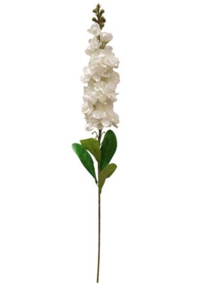 Delphinium Ivory (24pcs or more = £1.00 each)