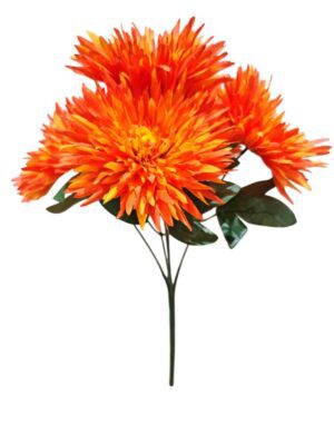 Chrysanthemum Bunch Orange (More Than 12 = £1.75 each)