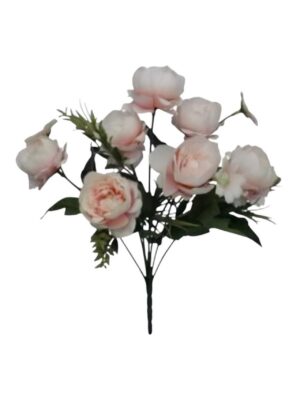 Small Peony Bush with Daisy Blush Pink (24 Bushes/pack 24 x 75p or 144 x 65p)
