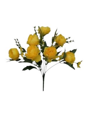 Small Peony Bush with Daisy Yellow (24 Bushes/pack 24 x 75p or 144 x 65p)