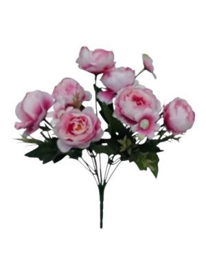 Small Peony Bush with Daisy Pink Mix (24 Bushes/pack 24 x 75p or 144 x 65p)