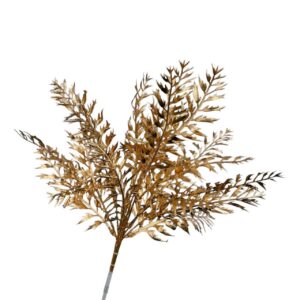 Ruscus Bush Gold (More than 24 Pcs = £0.55 each)