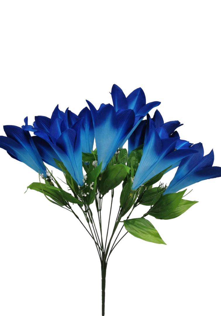 12 lily blue 2-PhotoRoom