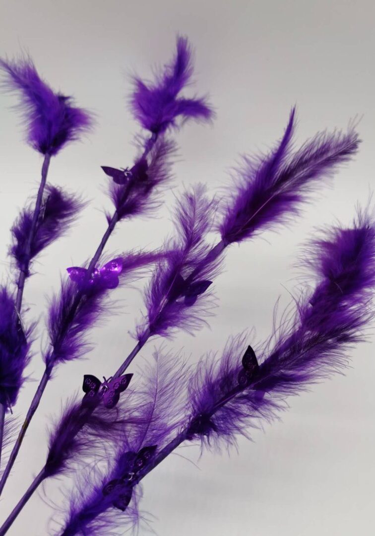 Feather Purple