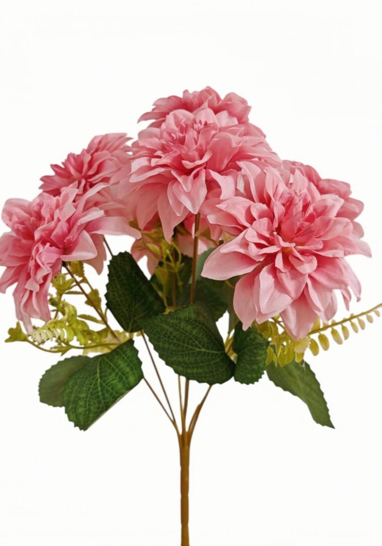 Image_20250828214315