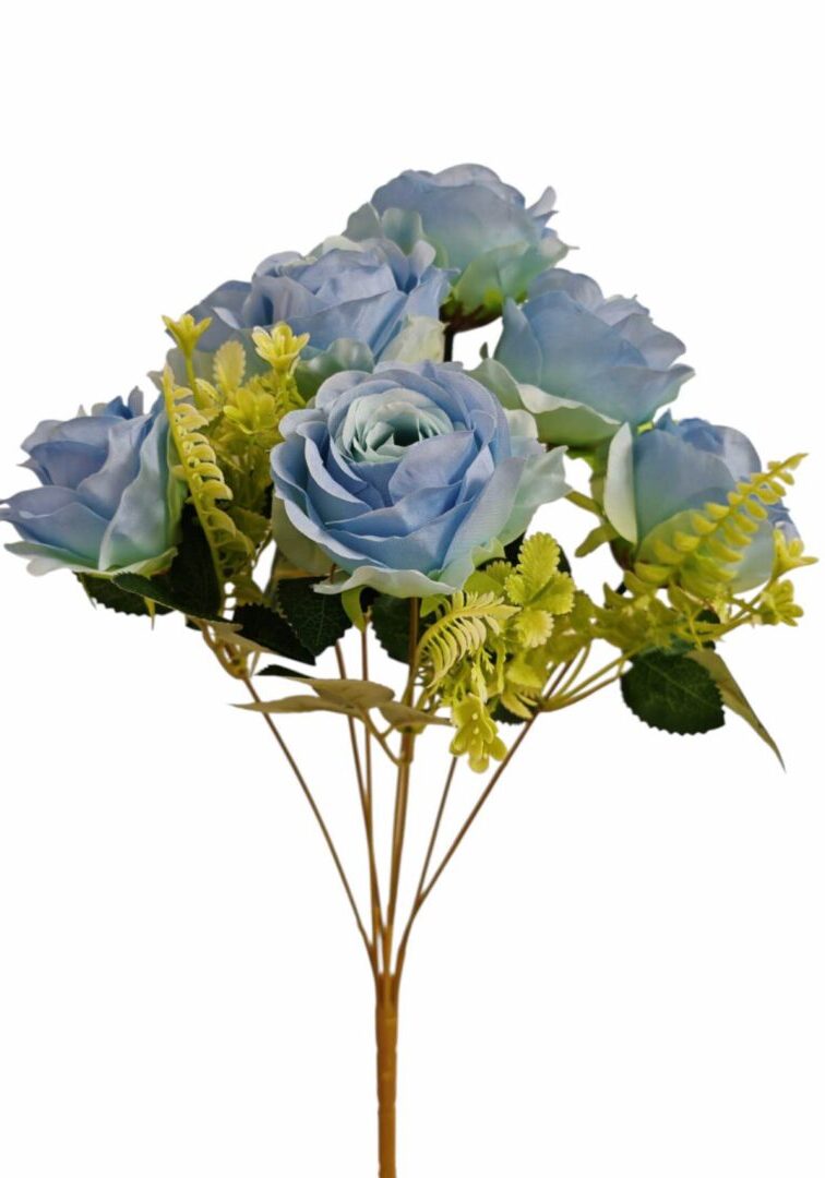 Image_20250828214424