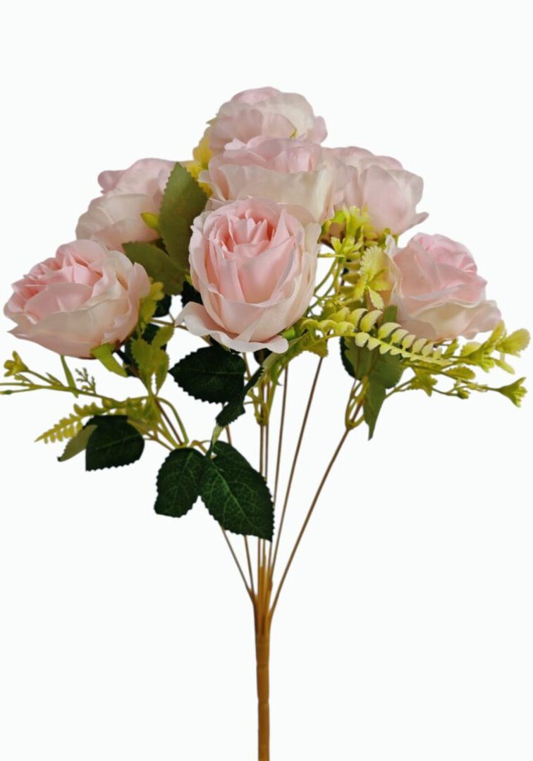 Image_202508282144241