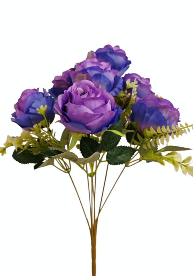 Image_202508282144242