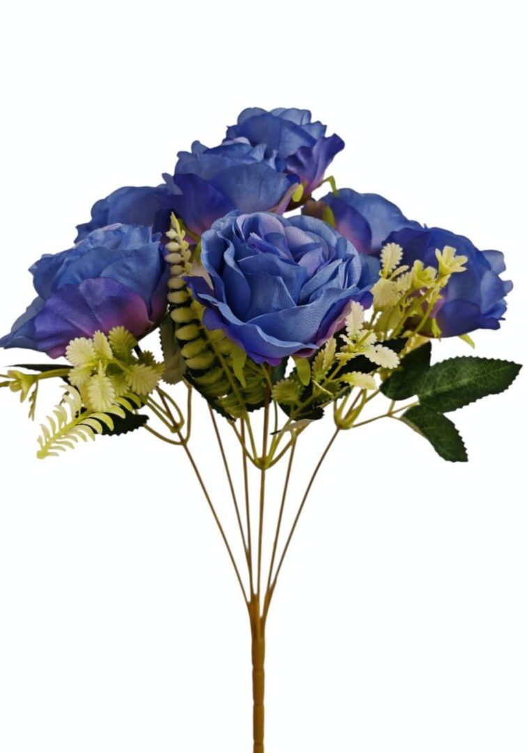 Image_202508282144243