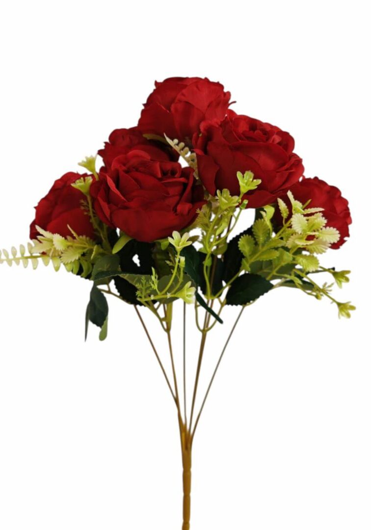 Image_202508282144244