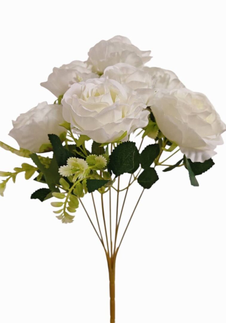 Image_202508282144245