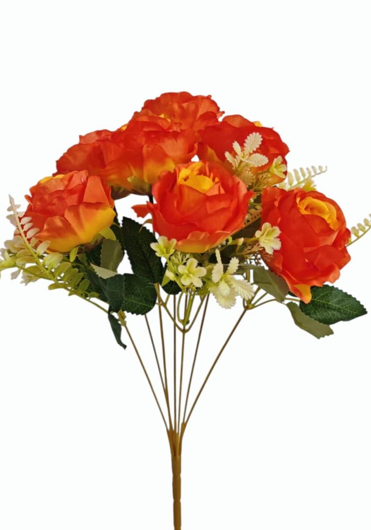 Image_202508282144246