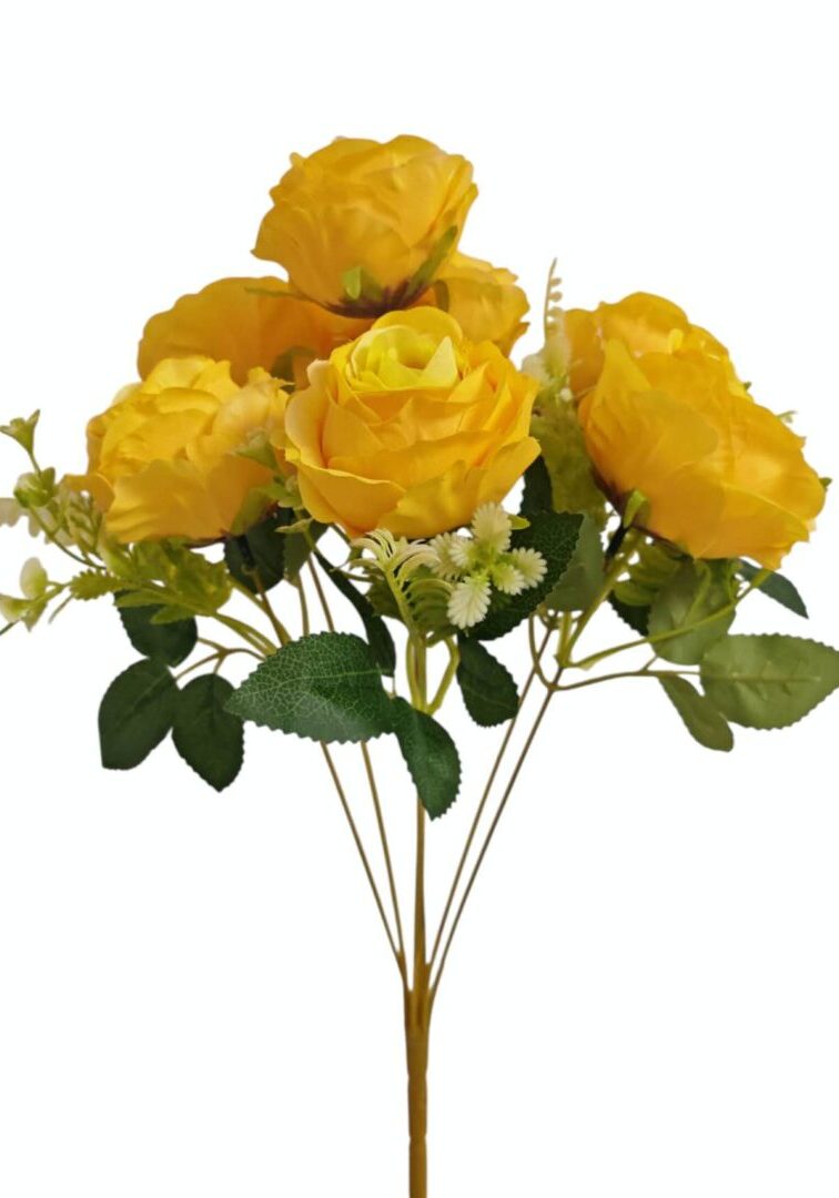 Image_202508282144247