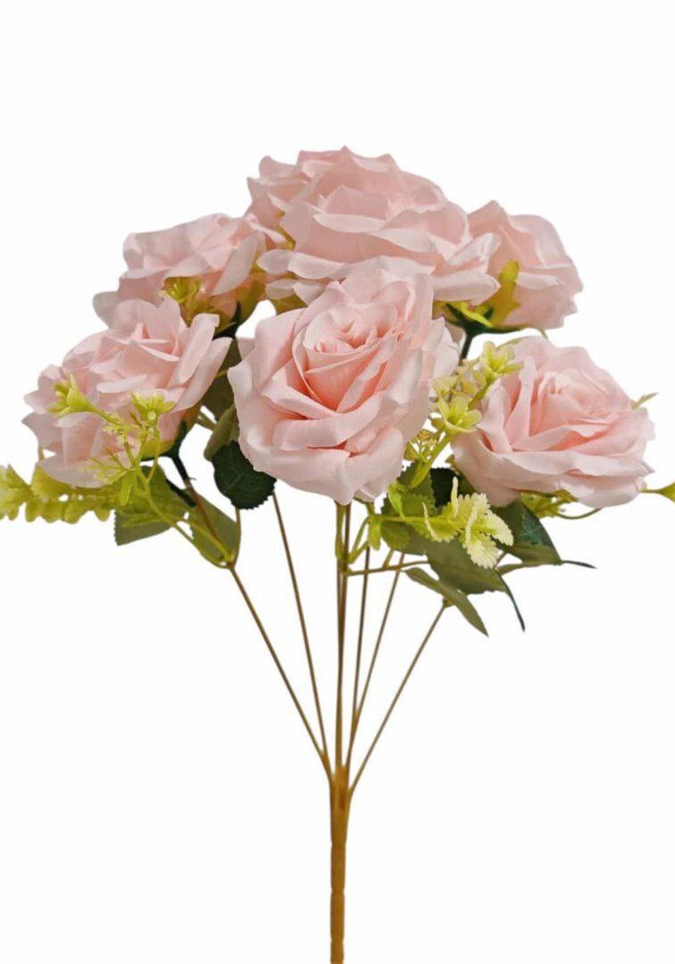 Image_202508282144248