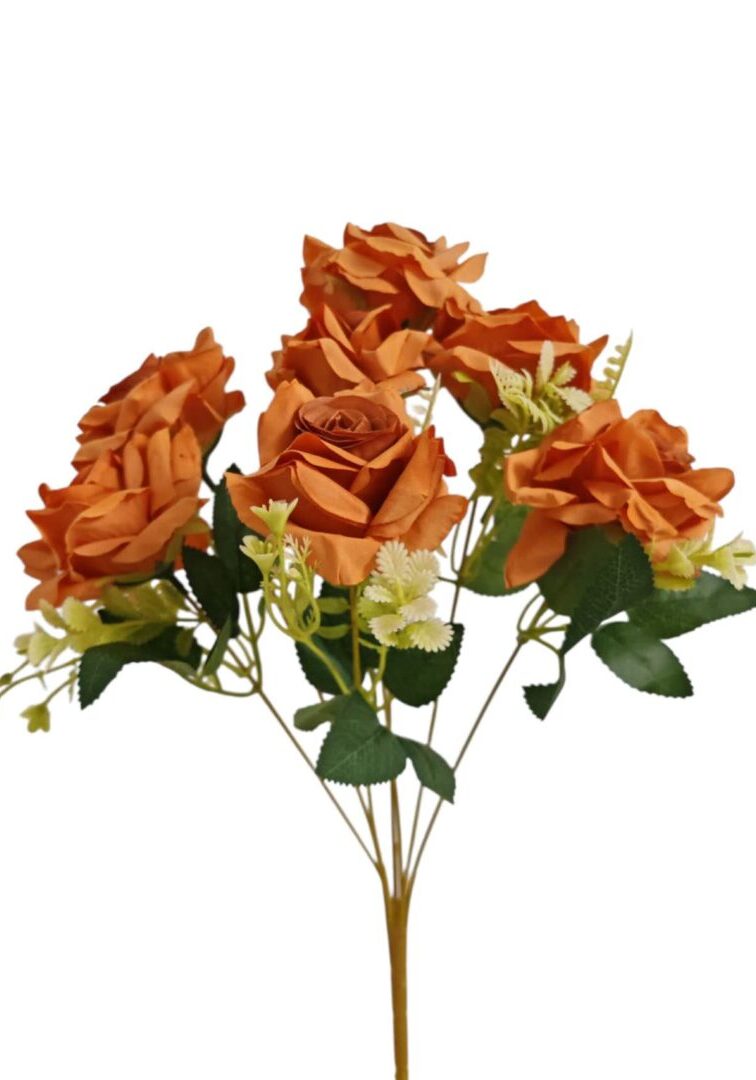 Image_202508282144249