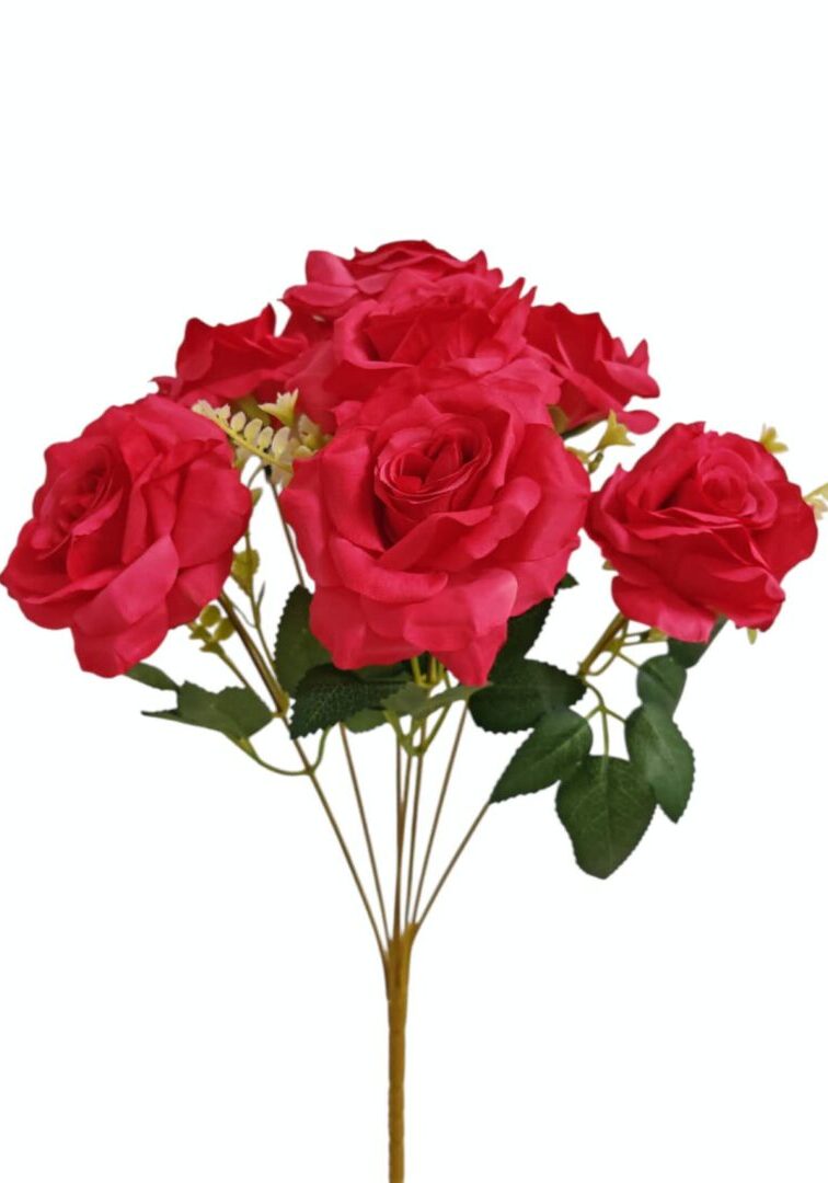 Image_20250828214425