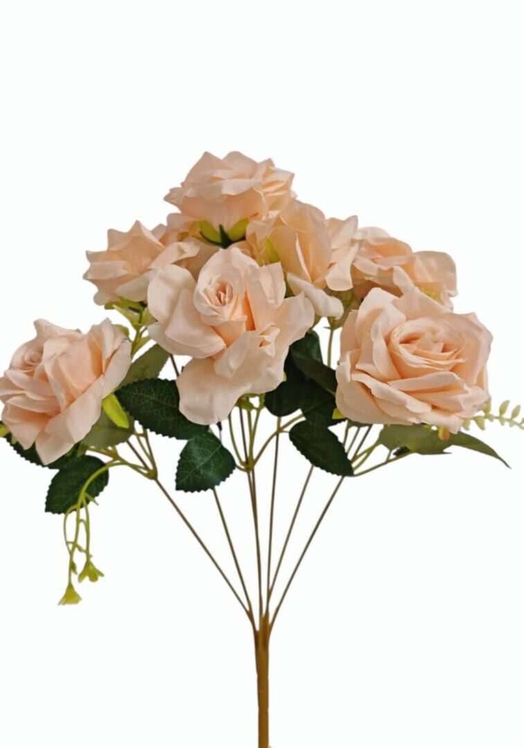 Image_202508282144251